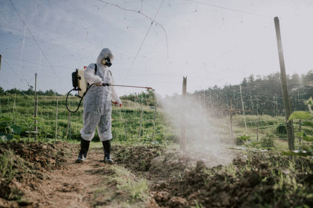 Insect Control in Myrtle Creek, OR