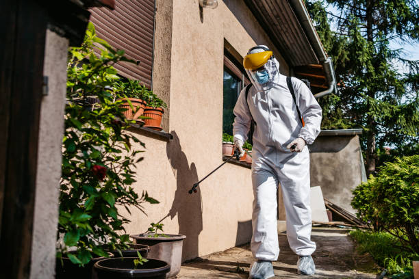 Best Pest Prevention Services  in Myrtle Creek, OR