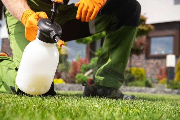 Pest Prevention Services in Myrtle Creek, OR