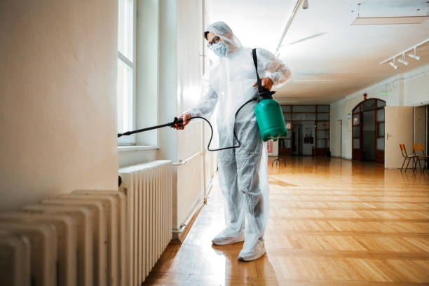 Best Rat Extermination Near Me  in Myrtle Creek, OR